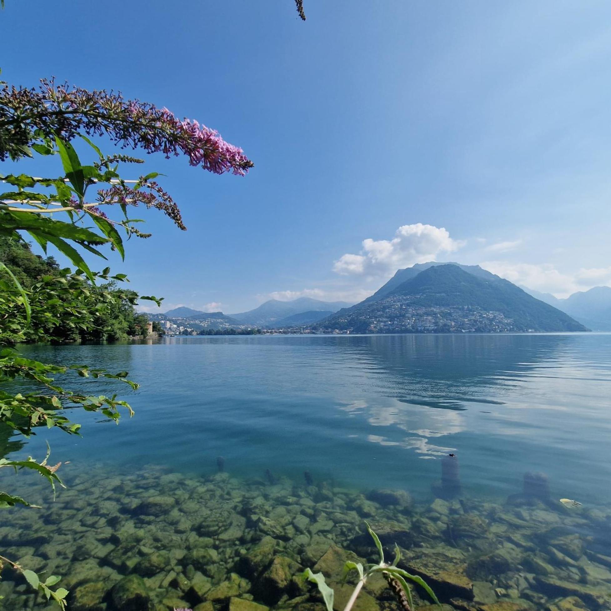 Dream Apartment Room Lake 3 Paradiso Dış mekan fotoğraf